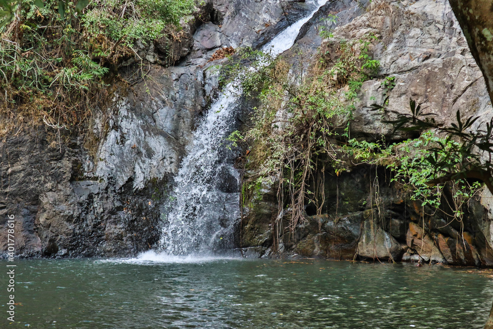 Deep forest waterfall stream view. Forest waterfall creek. Waterfall in deep forest. Waterfall river forest scene