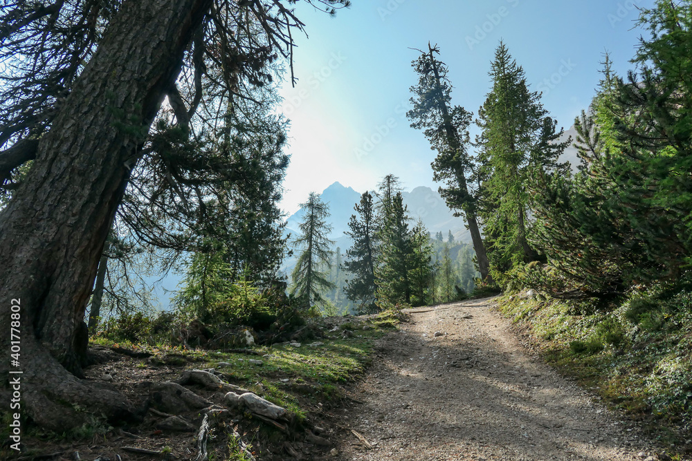 A gravelled road leading through a valley in Italian Dolomites. The sides of the road are overgrown with tall trees. High and sharp mountains around. Remote and desolate place. Serenity and calmness
