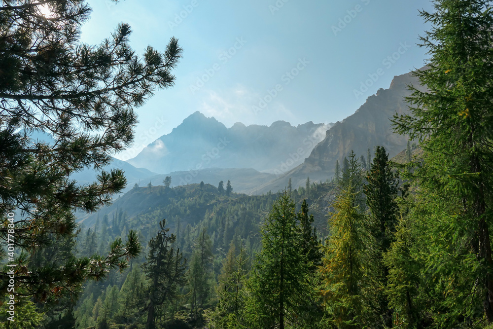 A panoramic view on a valley in Italian Dolomites. The lower parts of the valley are completely overgrown with dense forest. In the back there are high and sharp mountain chains. Bright and sunny day