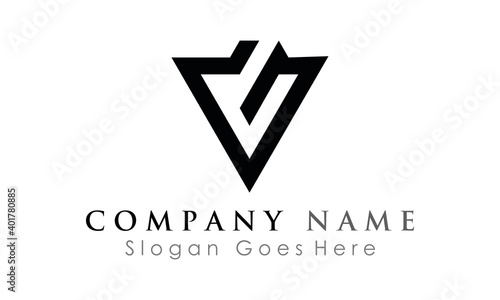 V logo letter icon 