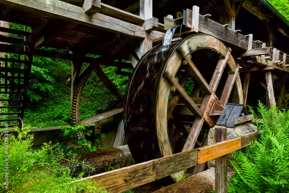 water wheel with many green plants in the nature