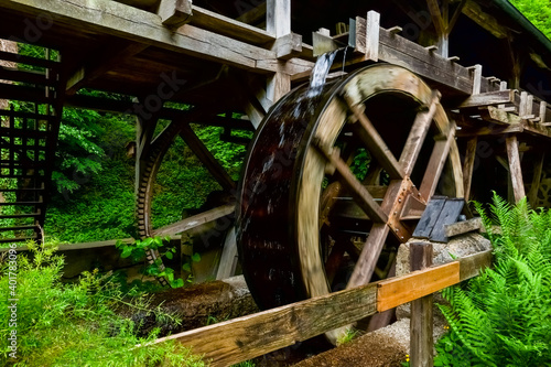 water wheel with many green plants in the nature