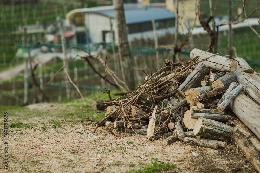 Valdobbiadene, Italy, the way of the Prosecco wine. Unesco world heritage