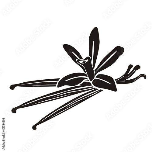 The flower of vanilla