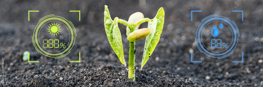 Sprout Technology Smart farm technology for detection and control system for sprout plant ...