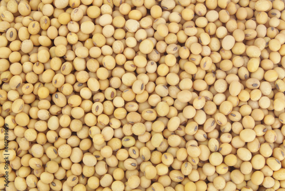 Soy beans background Soy beans background