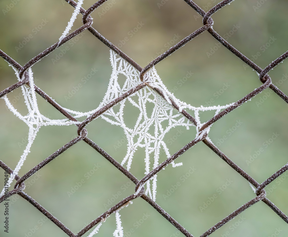 Fototapeta premium Wire fence covered with hoarfrost or rime ice on a misty morning.