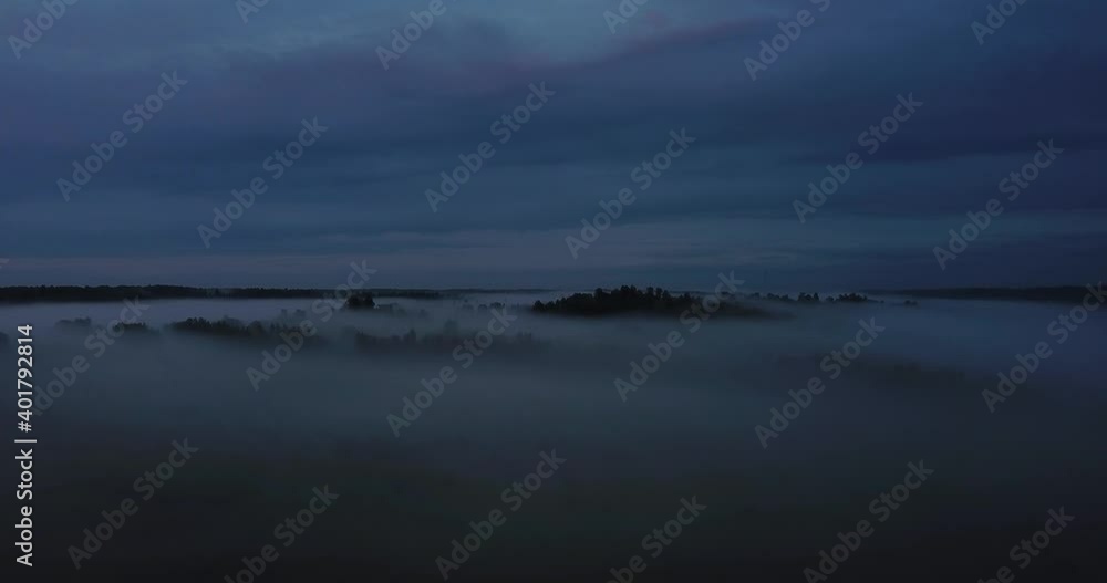 Flying over green pine wood forest with trees covered in morning mist fog, Flying over green pine wood forest with trees covered in morning mist fog,