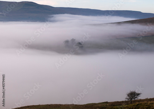 Fototapeta Naklejka Na Ścianę i Meble -  Low Cloud in Buttertubs Pass in the Yorkshire Dales