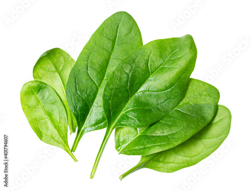 few fresh leaves of Spinach leafy vegetable cut out on white background