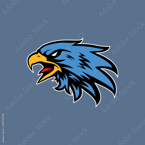 Hand drawn of Eagle head , Eagle mascot for t-shirt , Sport wear ,logo, emblem graphic, athletic apparel stamp
