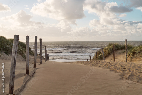 Dunes with marram grass at the beach of Bloemendaal aan Zee  Holland  Netherlands
