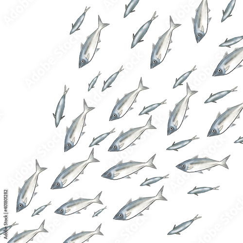School of fishes or group of horse mackerel 