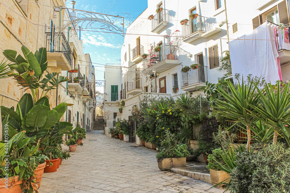 Street in the charming old town of Polignano a mare, province of Bari in Puglia, famous tourist destination in southern Italy.