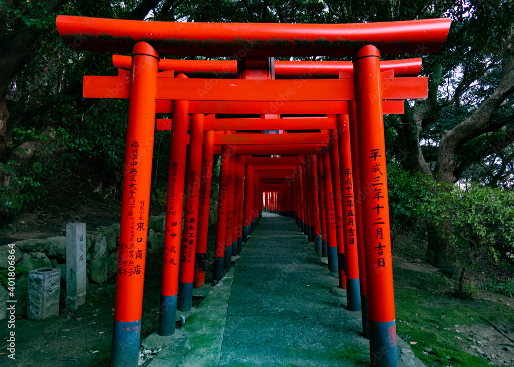 a series of red Shinto shrines 