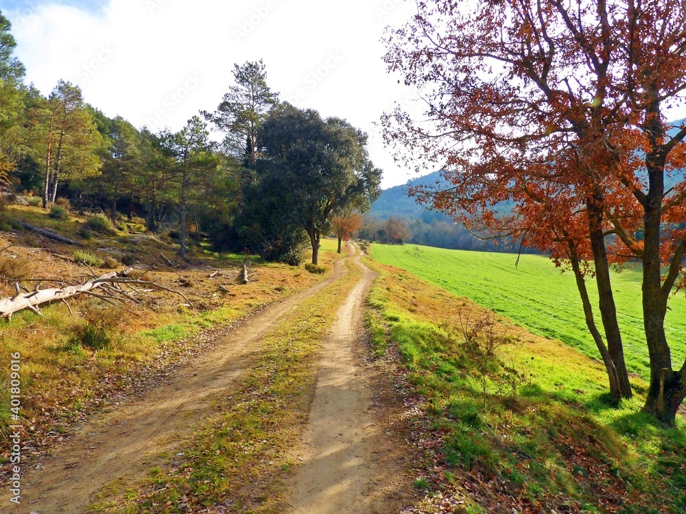 camino de naturaleza camino de naturaleza
