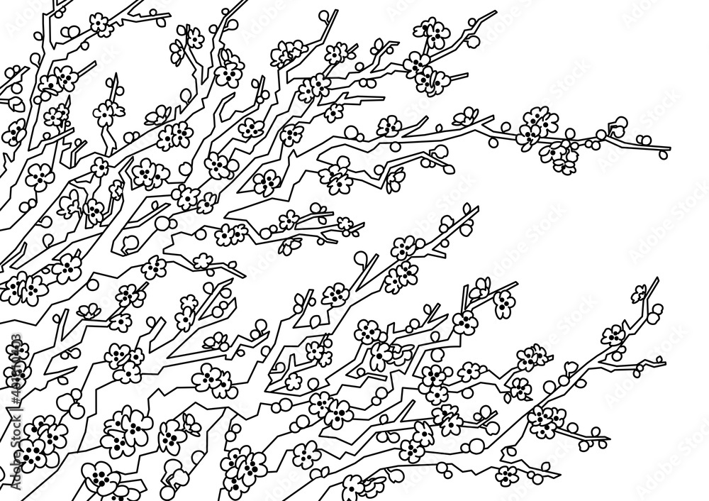 Line drawing of a plum blossom