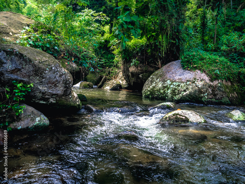 river in the forest