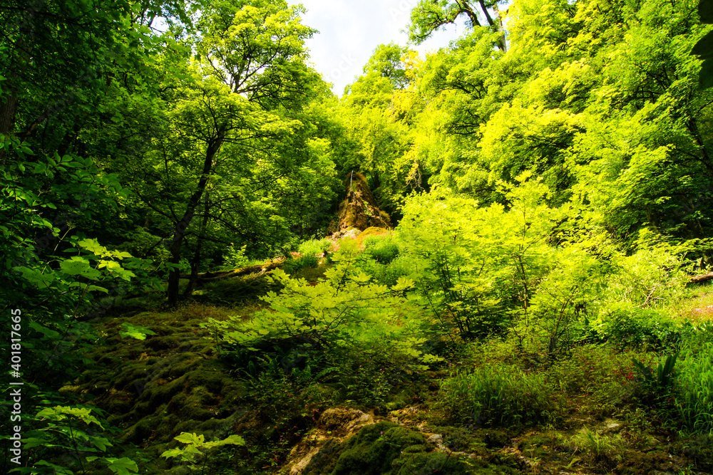 Fantastic view of untouched wild nature near the Güterstein Waterfall near the city of Bad Urach, Germany.