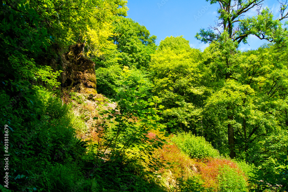 Fantastic view of untouched wild nature near the Güterstein Waterfall near the city of Bad Urach, Germany. Fantastic view of untouched wild nature near the Güterstein Waterfall near the city of Bad Urach, Germany.