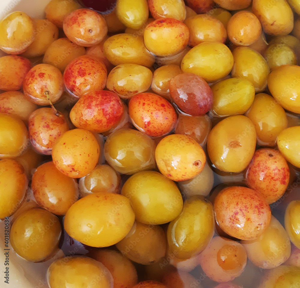 yellow and red plums yellow and red plums