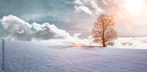 Winterlandschaft mit Baum und Sonnenlicht
