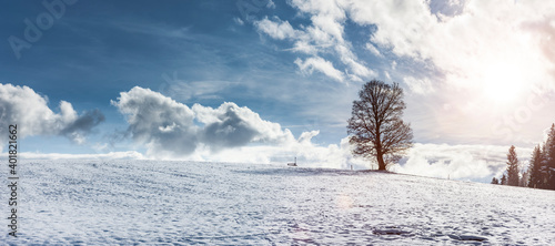 Winterlandschaft mit Baum und Sonnenlicht