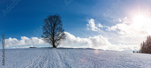 Winterlandschaft mit Baum und Sonnenlicht