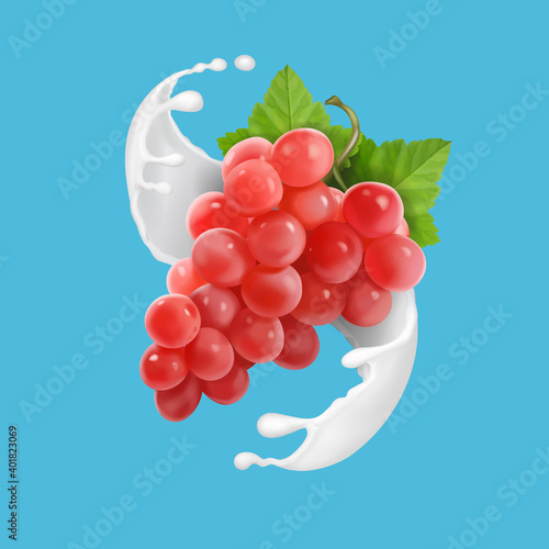 Red grapes in realistic milk splash or yogurt. Vector illustration