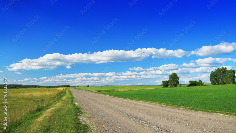 Rural landscape. A gravel road runs between green fields. Gradient blue sky and a few clouds in the background.