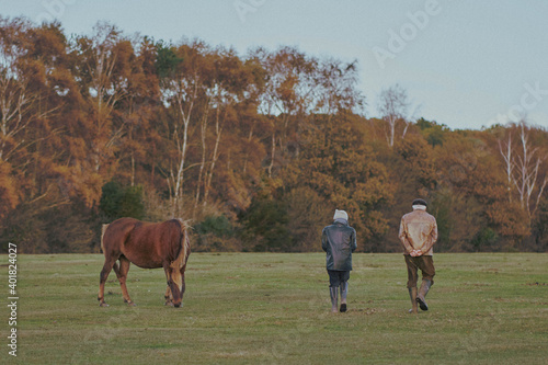 Horse and elderly 