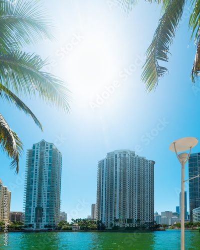 Palm trees and skyscrapers in Miami river walk