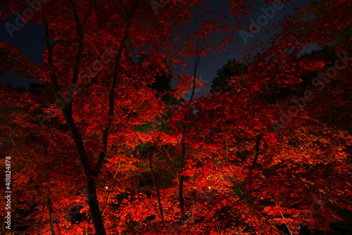 Japanese Garden at Kashiwazaki City in Niigata Pref., Japan photo