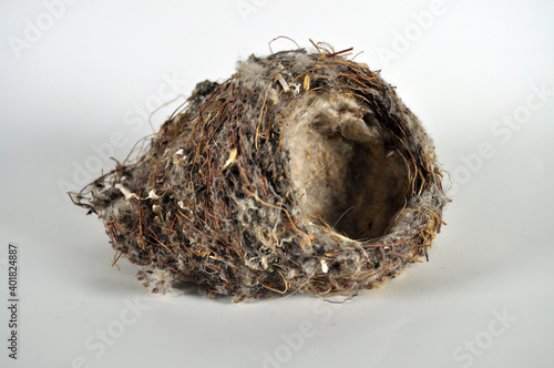 separate, empty bird's nest, symbol of family planning