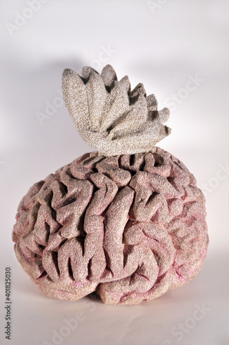 Fantasy journey, brain with wings