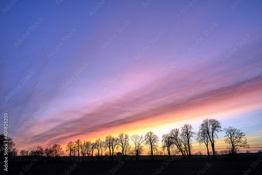 tree crowns against the sky after sunset in autumn in Poland
