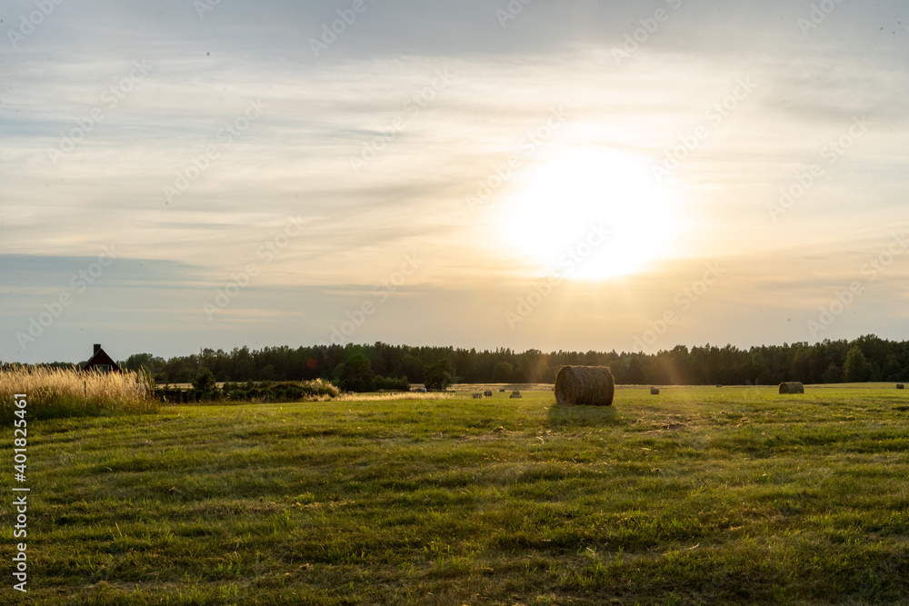 Fototapeta premium Hiiumaa; Estonia, Field ; sunset