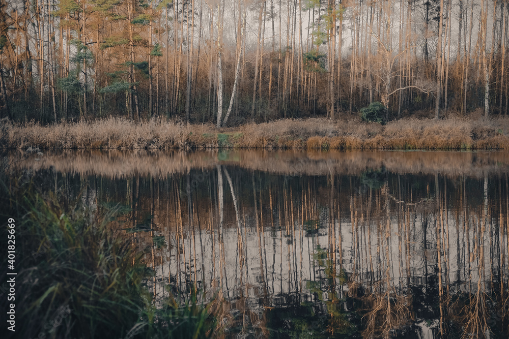 Landscape. Reflection of trees in the water. Landscape. Deep waters of the blue lake surrounded by winter forest. Trees above the water
