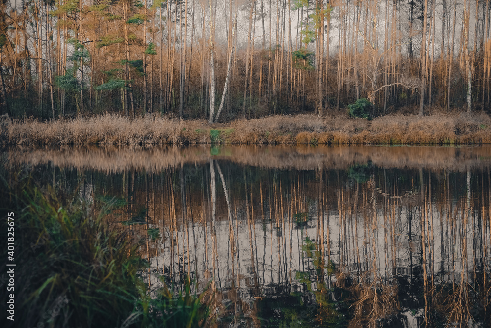 Landscape. Reflection of trees in the water. Landscape. Deep waters of the blue lake surrounded by winter forest. Trees above the water Landscape. Reflection of trees in the water. Landscape. Deep waters of the blue lake surrounded by winter forest. Trees above the water
