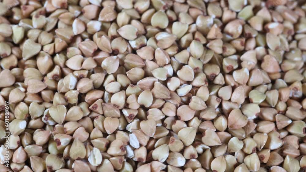 green buckwheat close up video green buckwheat close up video