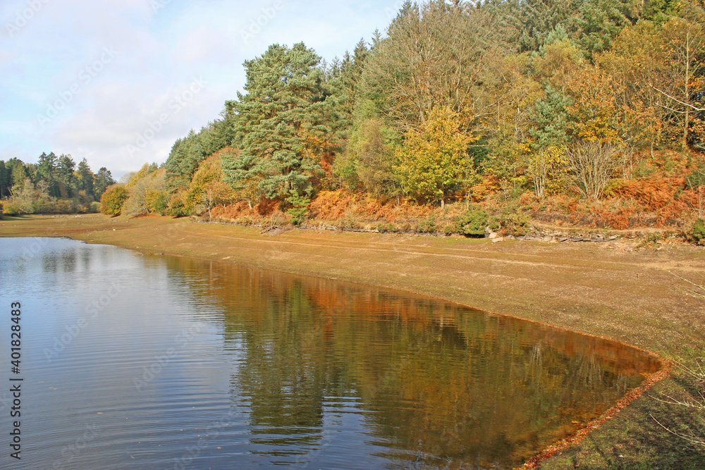 Reflections in Trenchford Reservoir, Devon, in Autumn Reflections in Trenchford Reservoir, Devon, in Autumn