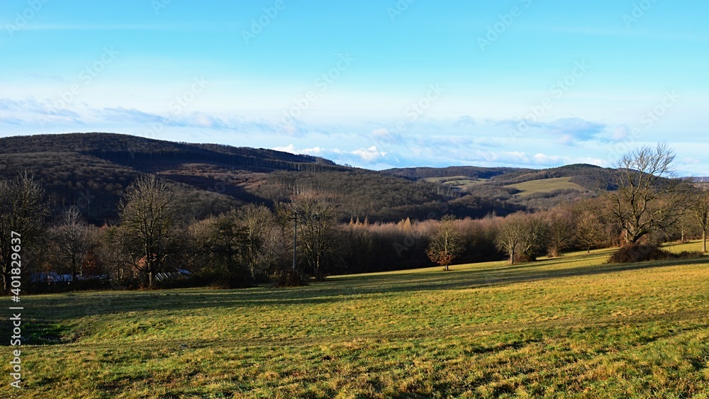Landscape with bright green meadow and hills with naked broadleaf trees in background near Hrusov medieval castle, central Slovakia. Photo taken during early winter period, blue skies with some clouds