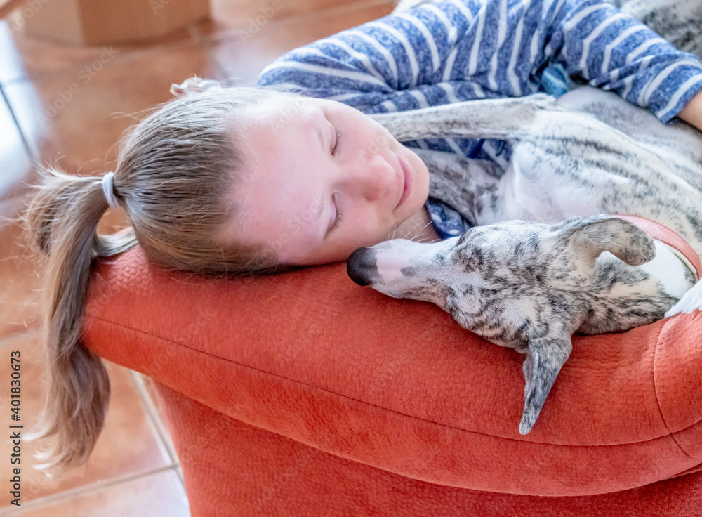 ein junges Mädchen und ihr Whippet Hund kuscheln zu Hause auf dem roten Sofa ein junges Mädchen und ihr Whippet Hund kuscheln zu Hause auf dem roten Sofa