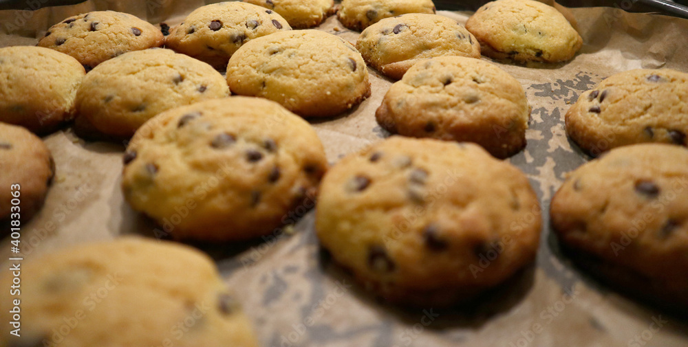 Tasty homemade delicious cookies with chocolate chips on baking tray
Tasty homemade delicious cookies with chocolate chips on baking tray