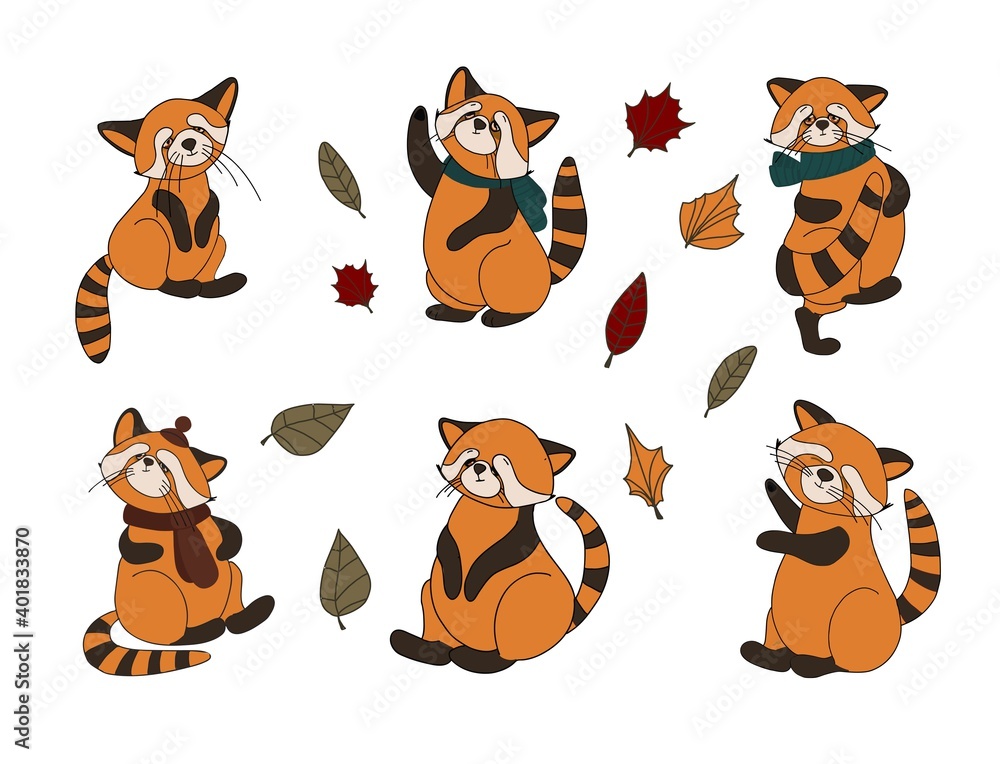 Little panda, red panda, cat bear. Character cute beast. Funny animals. Autumn decoration. illustration isolated on white background