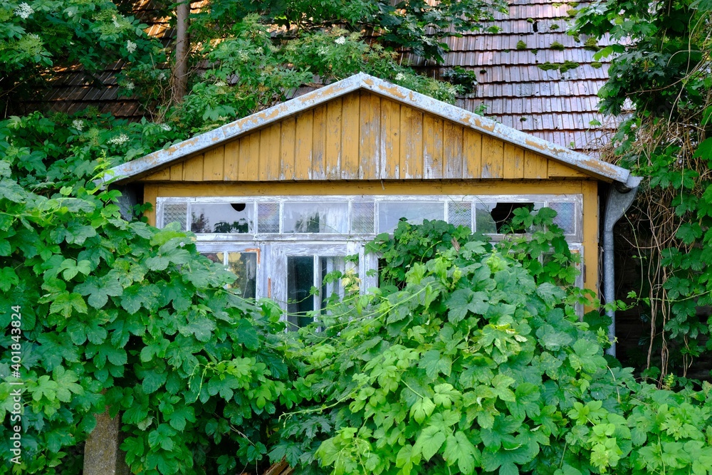 Old traditional wooden house in green garden in polish village Narew, Podlasie region, Poland Old traditional wooden house in green garden in polish village Narew, Podlasie region, Poland