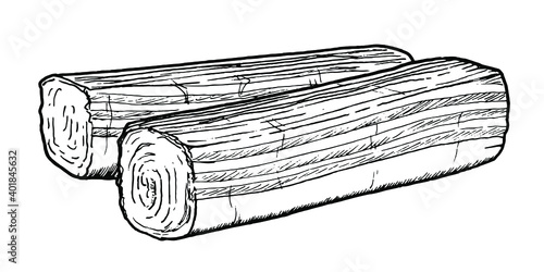 Drawing of surimi sticks - hand sketch of food photo