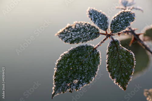 winter
