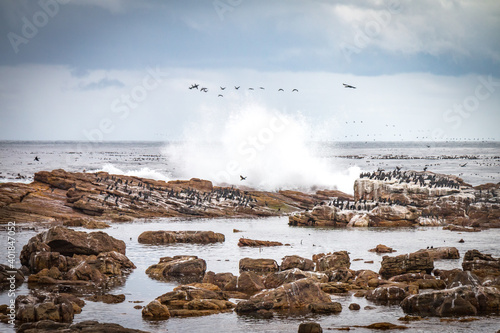 waves on the beach, stormy, cape of good hope, south africa