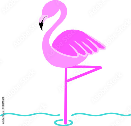 Pink flamingo standing in water